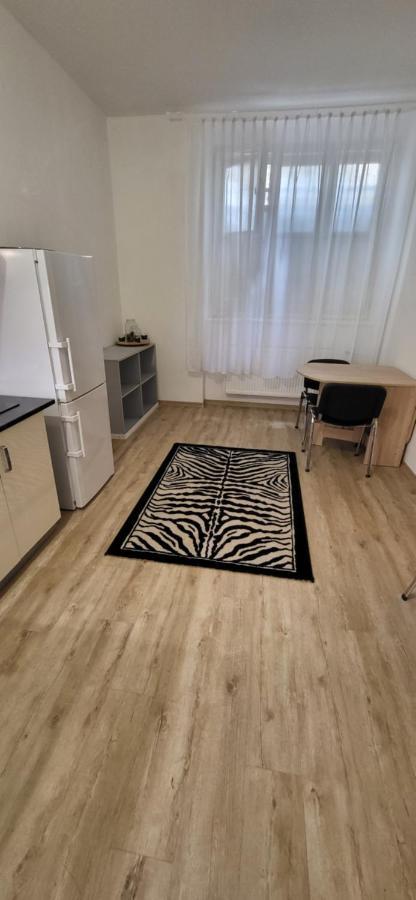 Appartamento Vrsovicka Devitka *